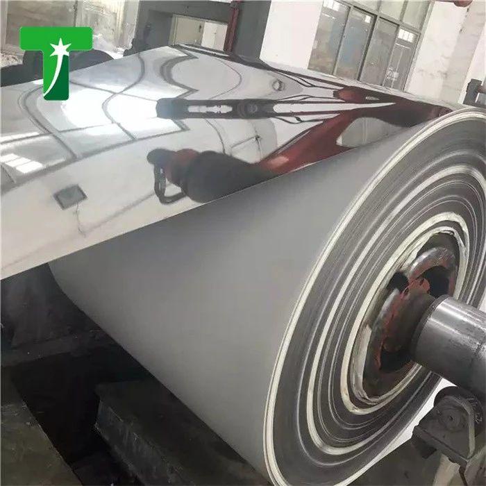 Galvanized Zinc Coating PPGI Steel Coil